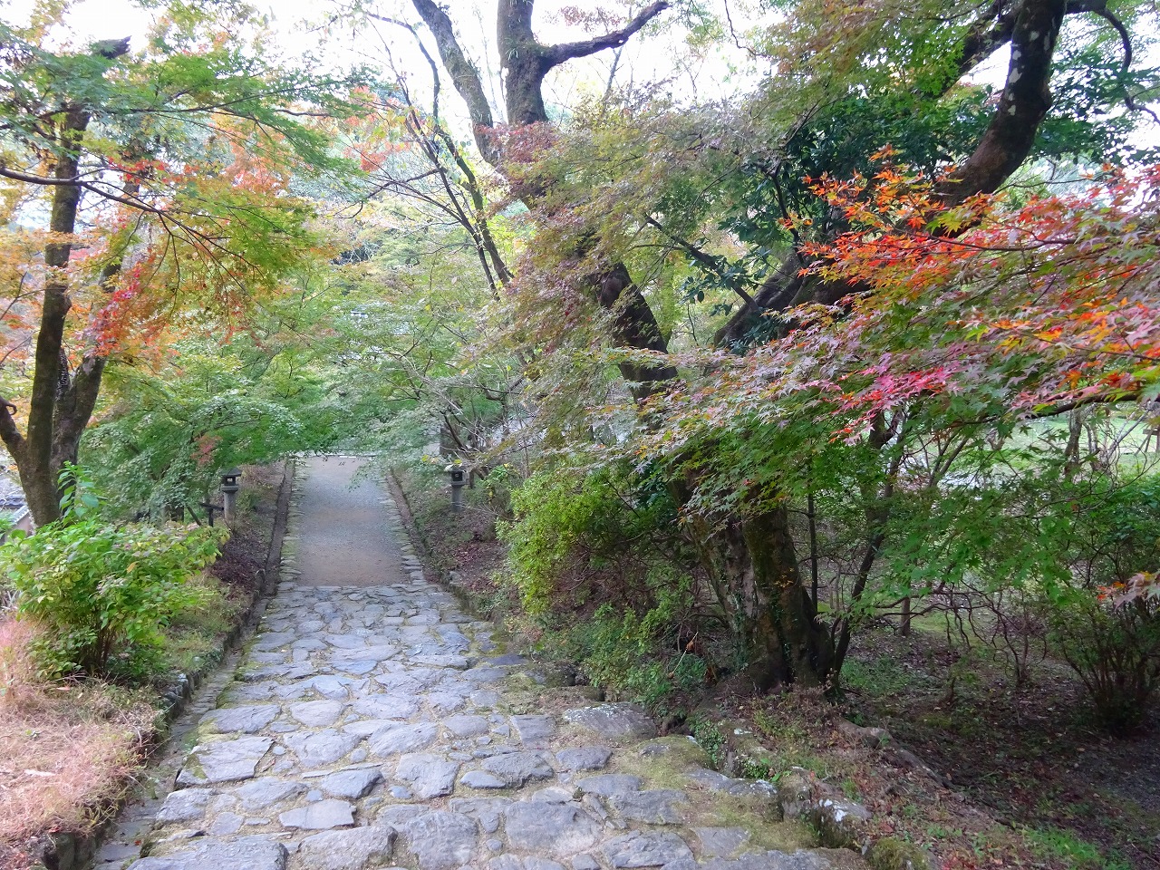 【ブログ】秋月城跡の紅葉狩り